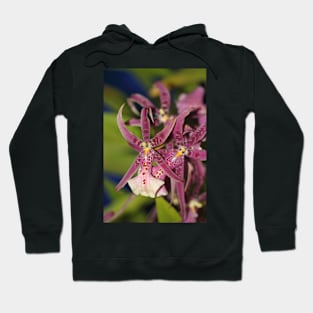 Rare Zygopetalum Hoodie